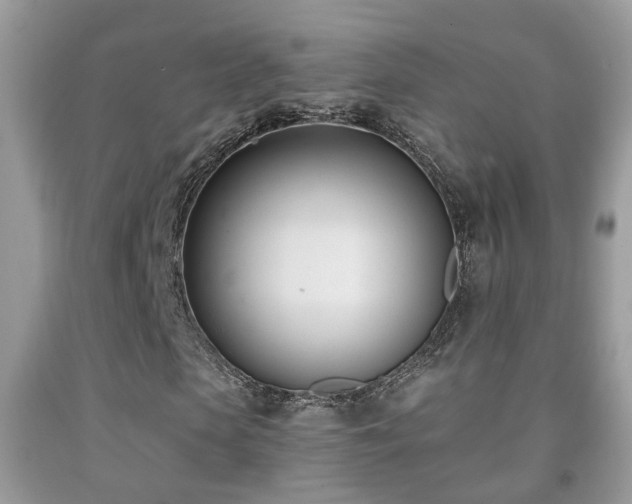 X0000091990913200709061415