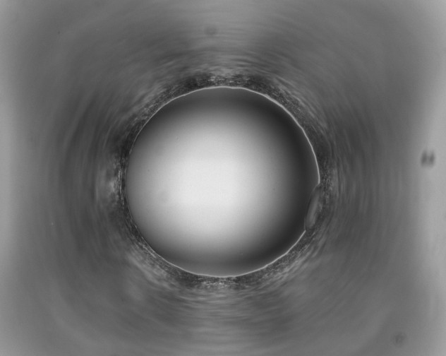 X0000091990914200709061415