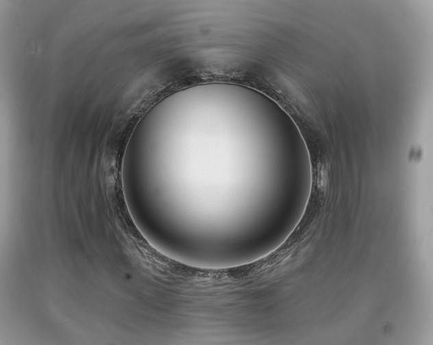 X0000091990915200709061415