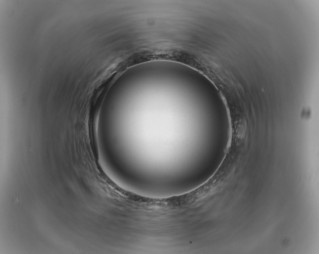X0000091990916200709061415