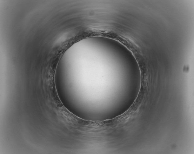 X0000091990917200709061415