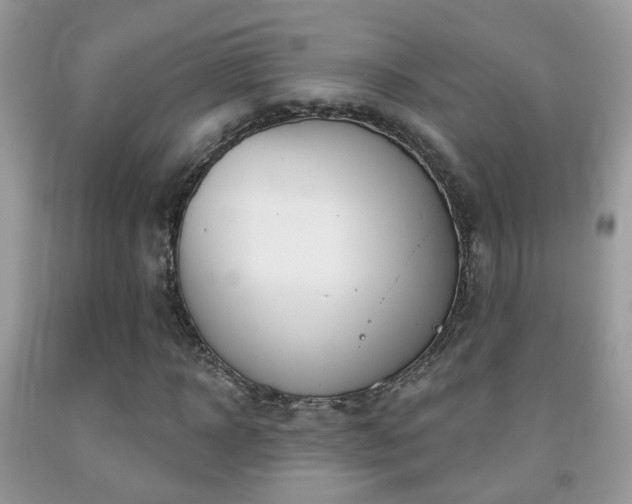 X0000091990918200709061415