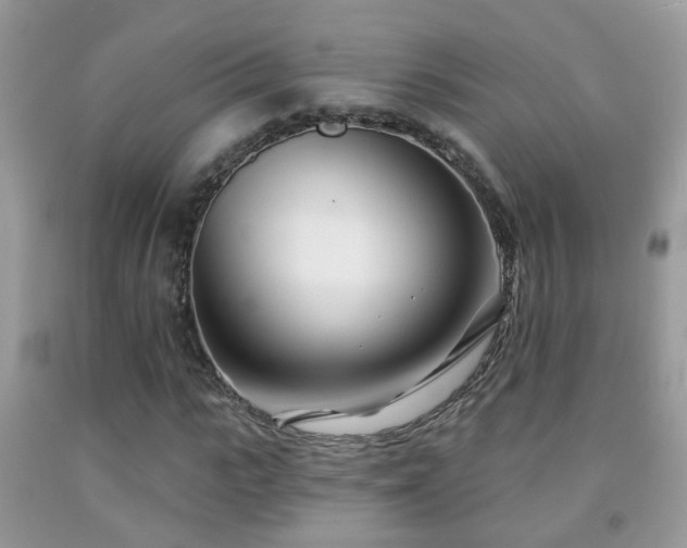 X0000091990919200709061415