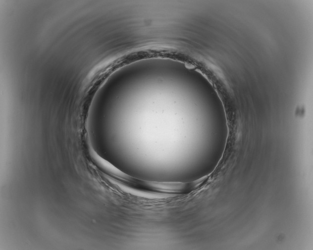 X0000091990920200709061415