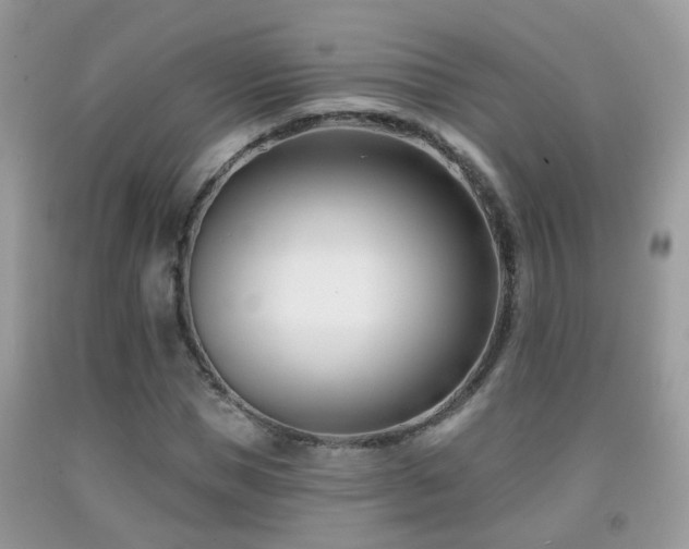 X0000091990921200709061415