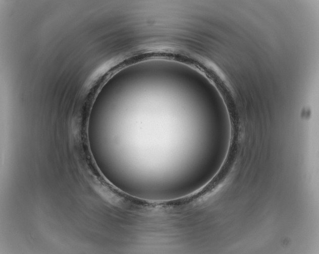 X0000091990922200709061415