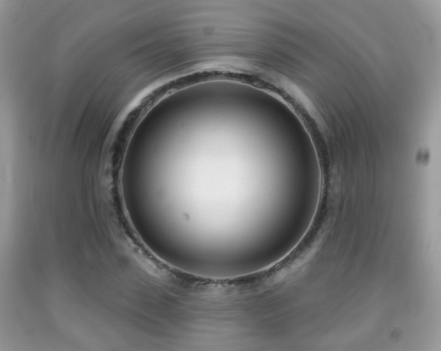 X0000091990923200709061415