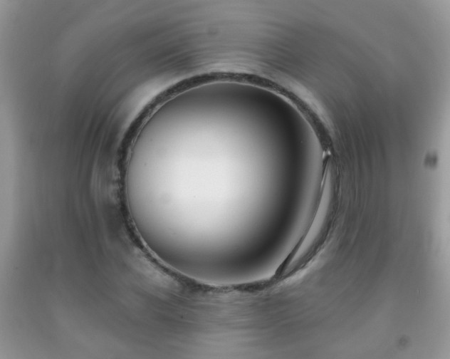 X0000091990926200709061415