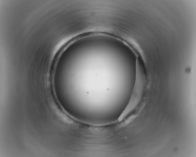 X0000091990928200709061415