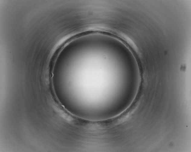 X0000091990931200709061415