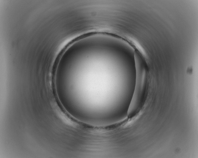 X0000091990932200709061415