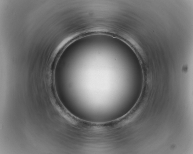 X0000091990933200709061415