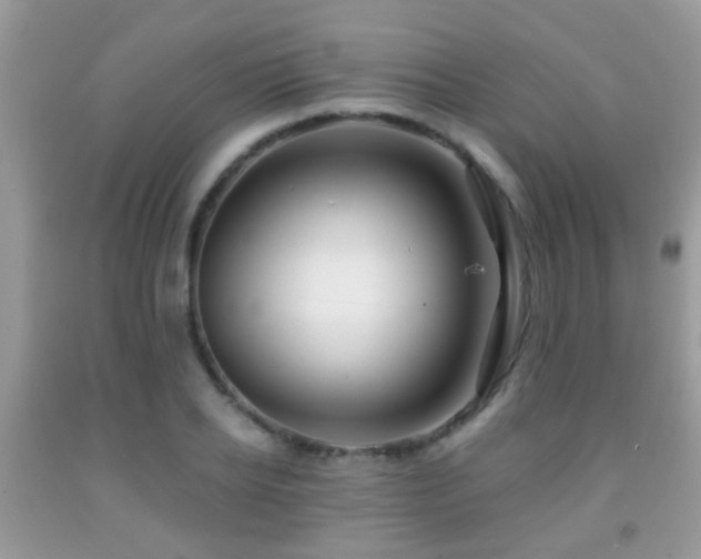 X0000091990934200709061416