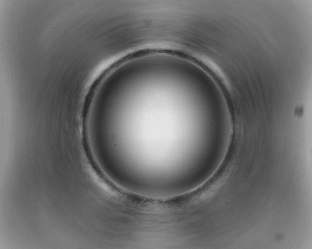 X0000091990935200709061416