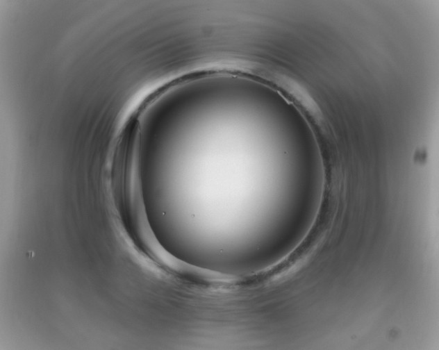 X0000091990936200709061416