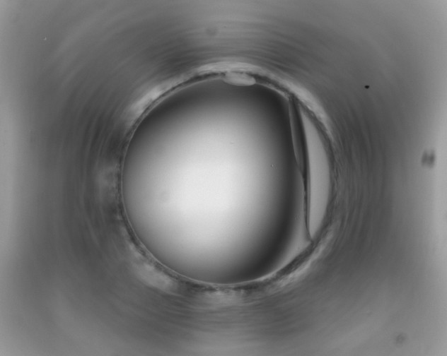 X0000091990937200709061416