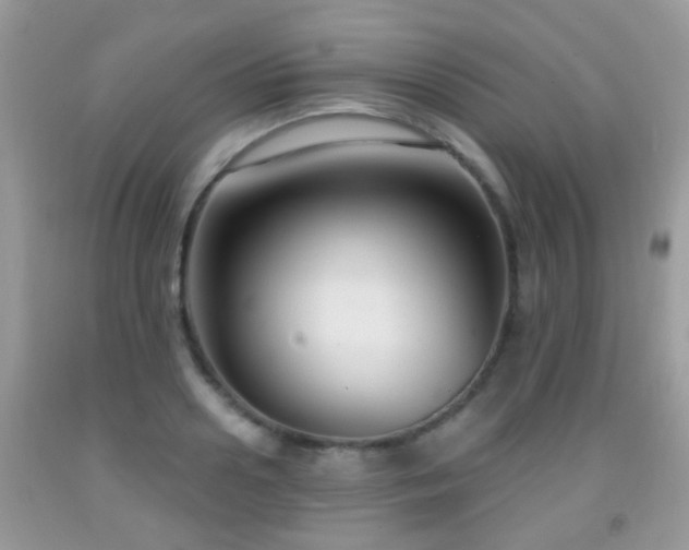 X0000091990938200709061416