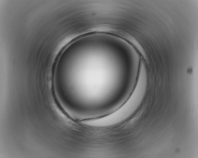 X0000091990939200709061416