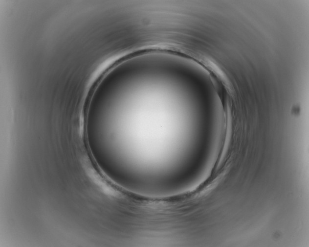 X0000091990940200709061416