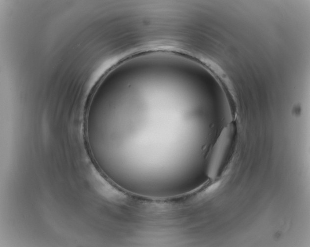 X0000091990941200709061416