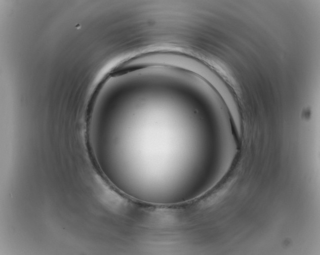 X0000091990942200709061416