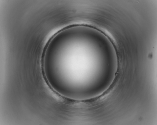 X0000091990943200709061416