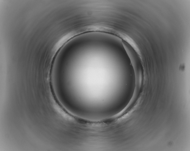 X0000091990946200709061416