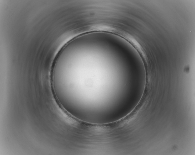 X0000091990947200709061416