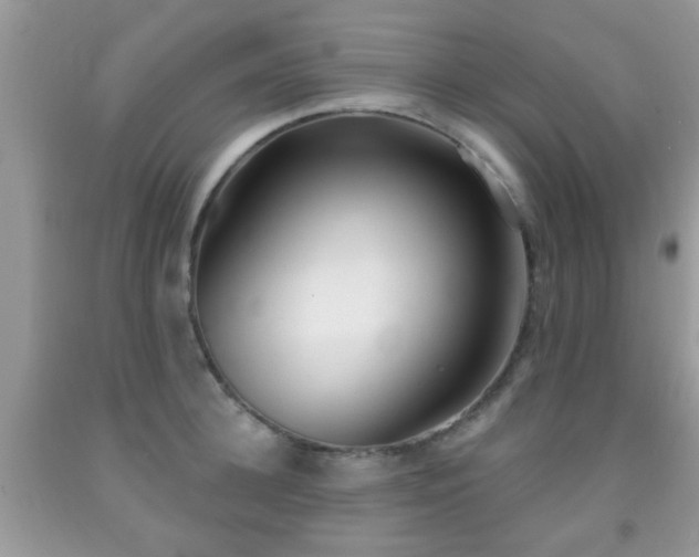 X0000091990948200709061416