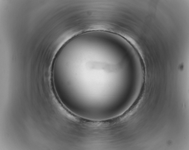 X0000091990949200709061416