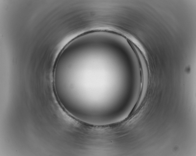 X0000091990951200709061416