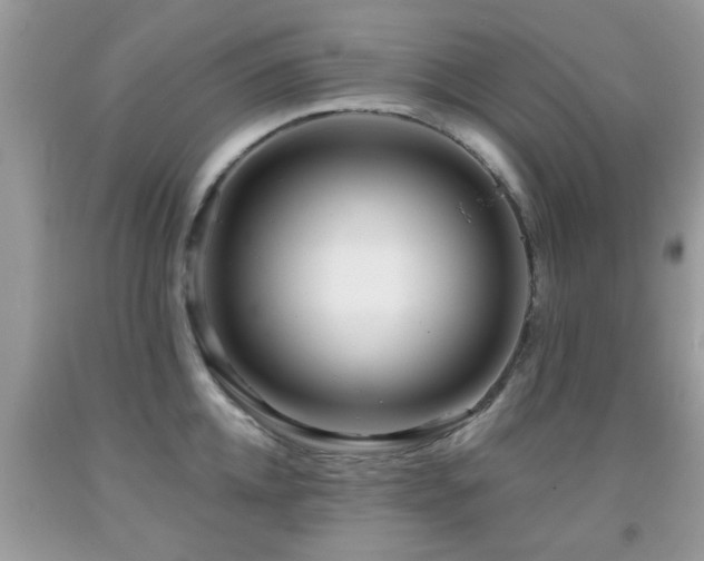 X0000091990952200709061416