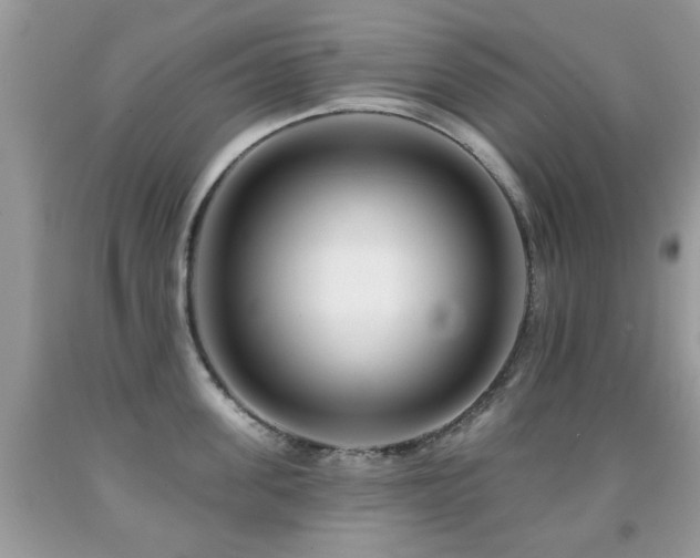 X0000091990955200709061416