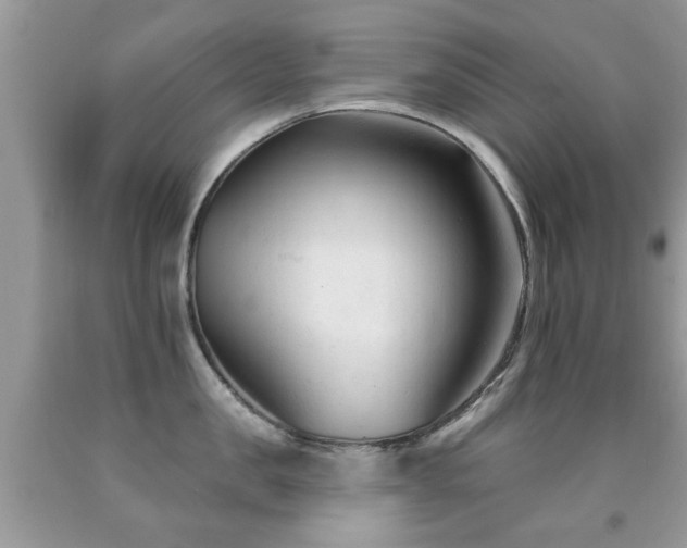 X0000091990957200709061416