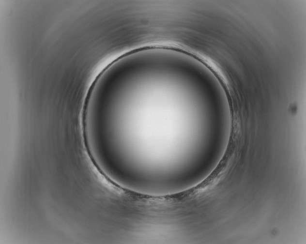 X0000091990959200709061416