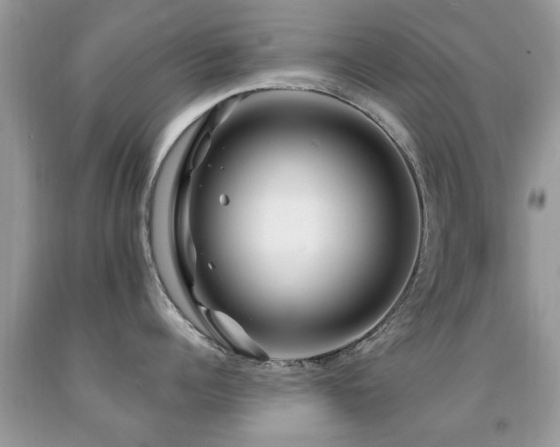 X0000091990960200709061416