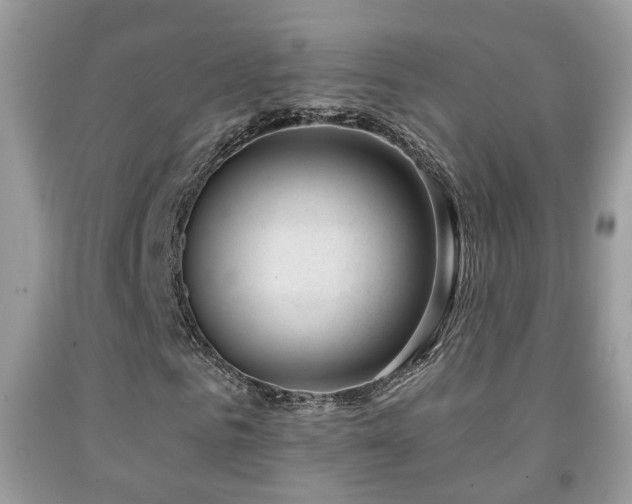 X0000091990961200709061415