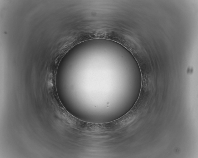 X0000091990962200709061415