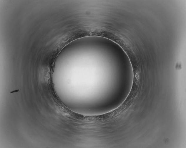 X0000091990963200709061415