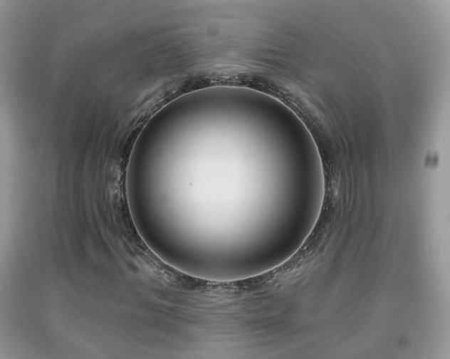 X0000091990964200709061415