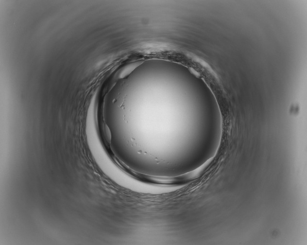 X0000091990965200709061415