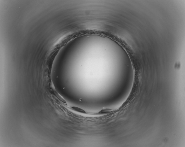 X0000091990968200709061415