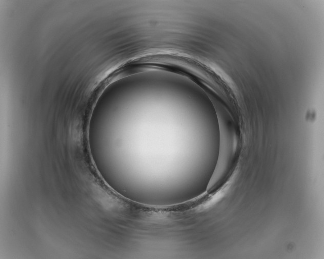 X0000091990969200709061415