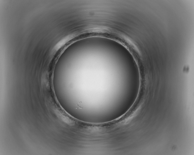 X0000091990970200709061415