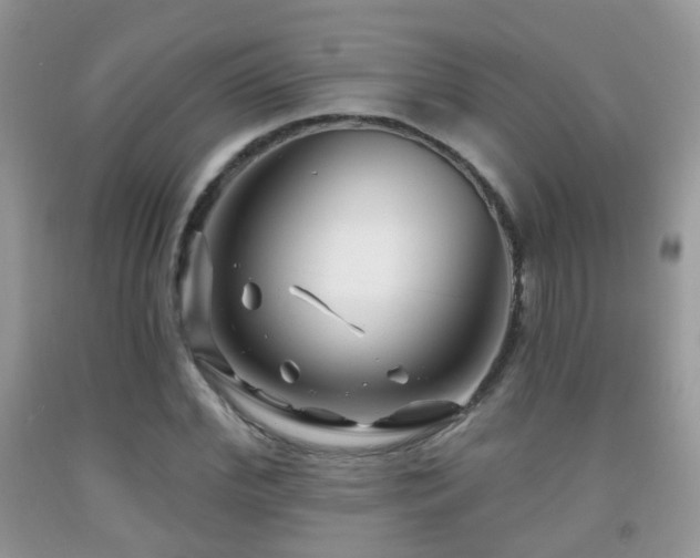 X0000091990972200709061415