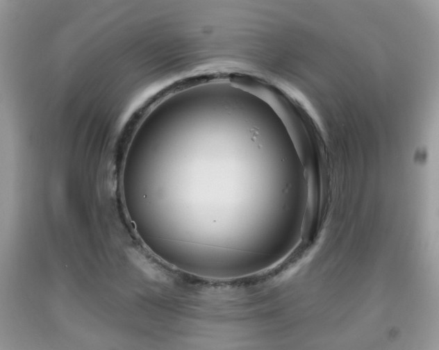 X0000091990973200709061415