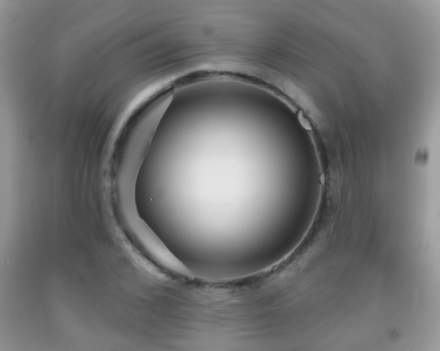 X0000091990976200709061415