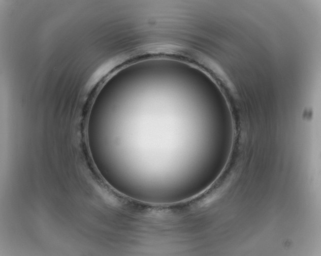 X0000091990978200709061415