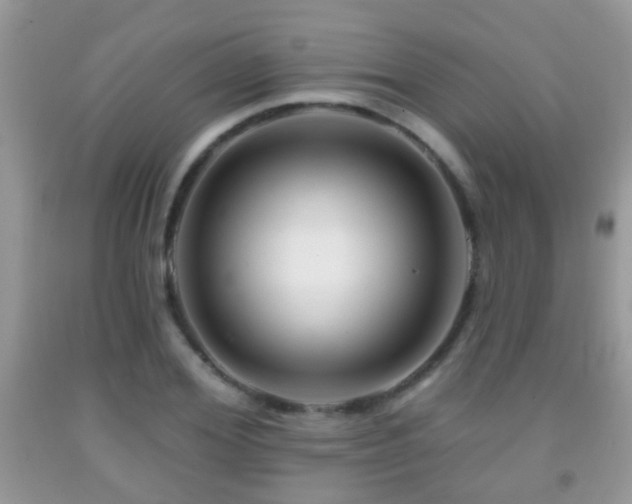 X0000091990980200709061415