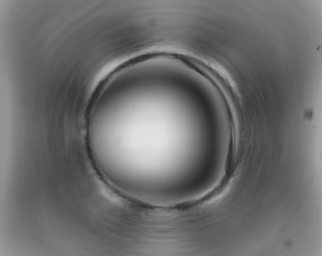 X0000091990981200709061415